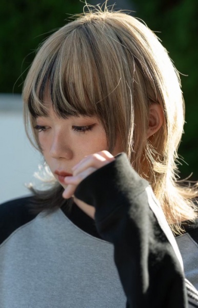 Гиннодзё Хоси