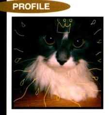 Кано Миямото