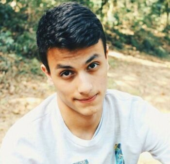 Вини Эстефануто