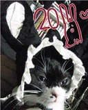 Мэкки Курояма