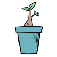 Харука Идзуми