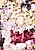 Ou no Aishou
