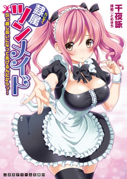 Reizoku Tsun-Maid: Hikkoshi Iwai ni Natte Agerun Dakara!