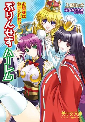 Princess Harem: Ohimesama wa Makerarenai!