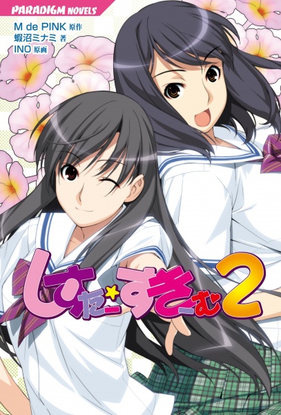 Сестринская схема 2