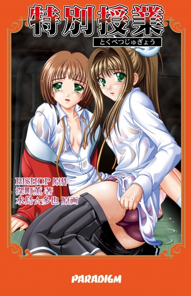 Частный урок