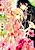 Yousei no Hanayome: Mukunaru Aiyoku